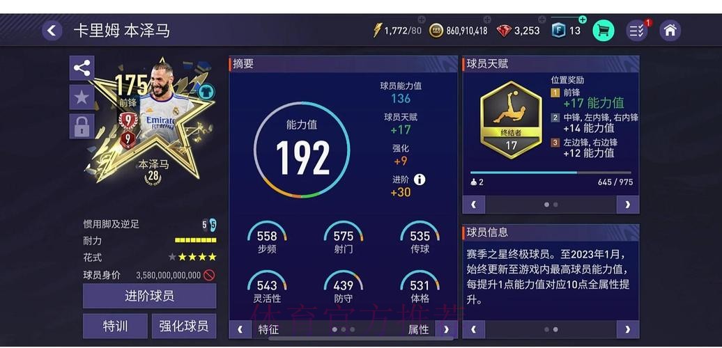 世界杯投注指南：从新手到专家秘籍